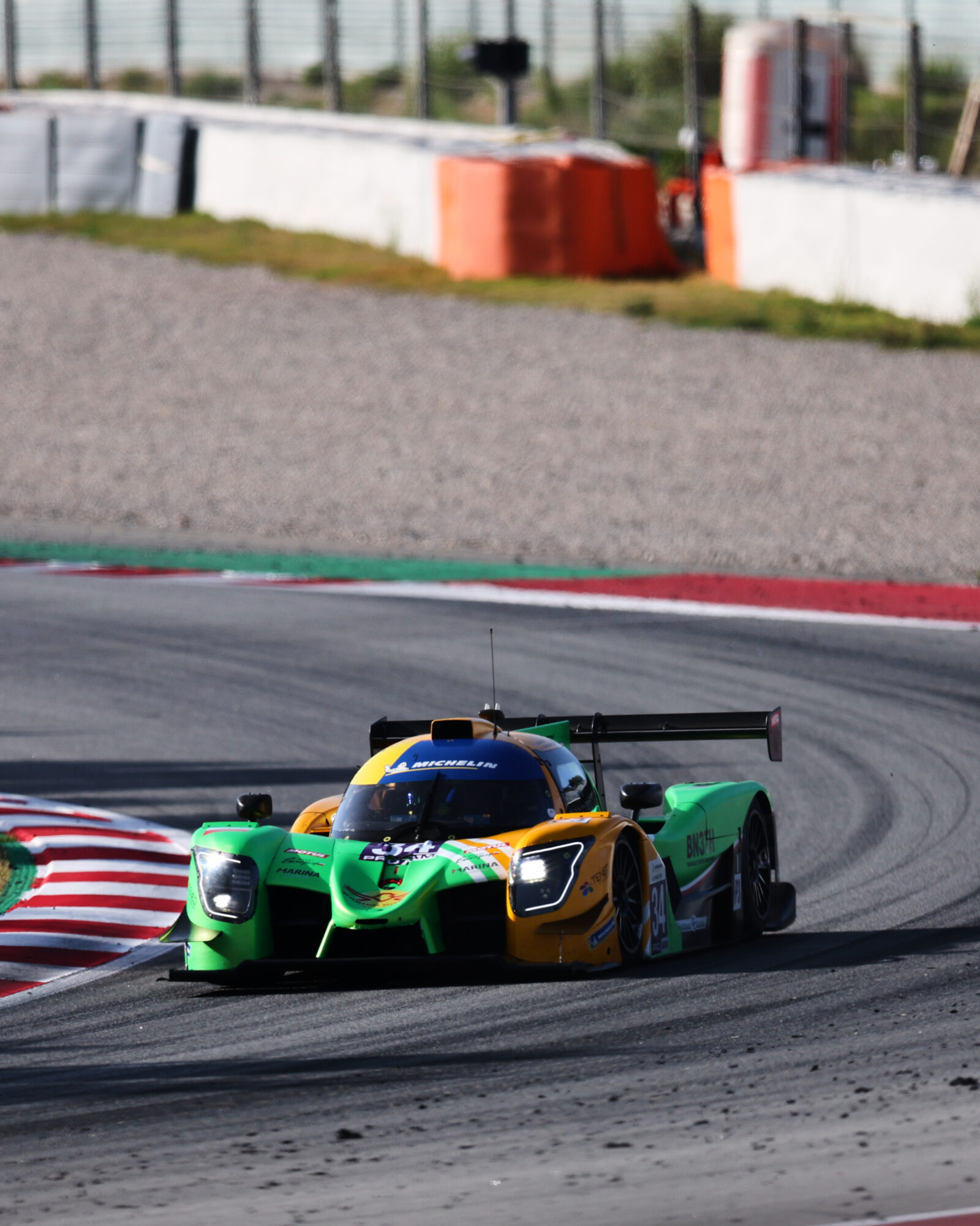 © 2026 Tracey Allan-McWilliams