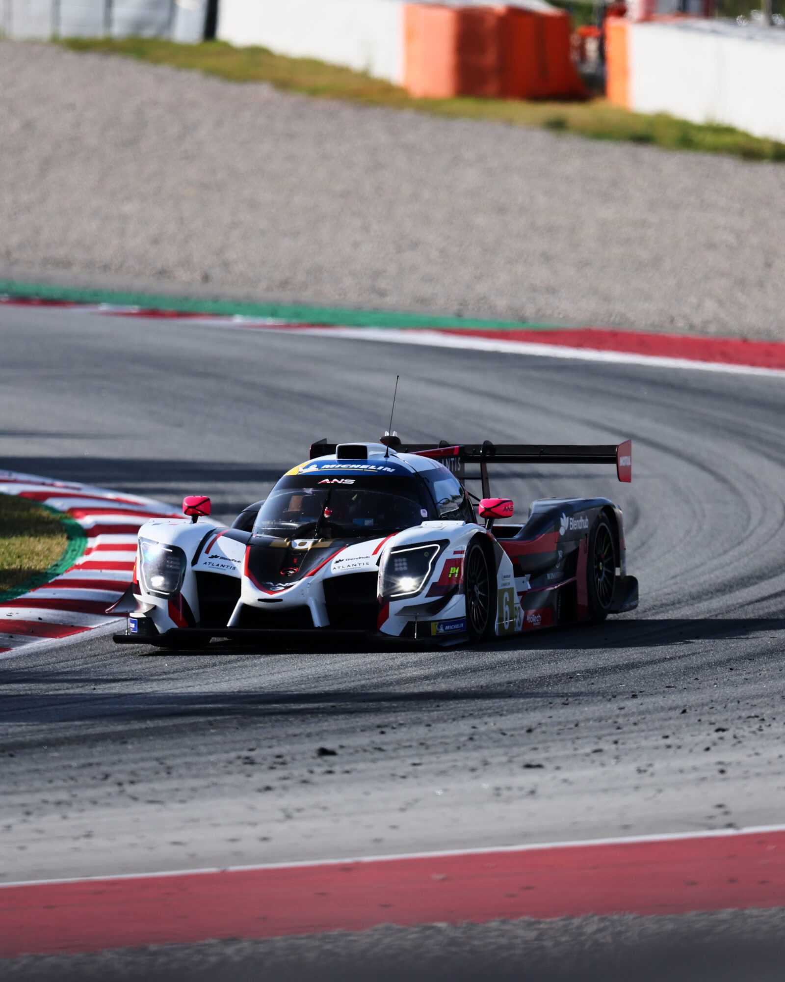 © 2026 Tracey Allan-McWilliams