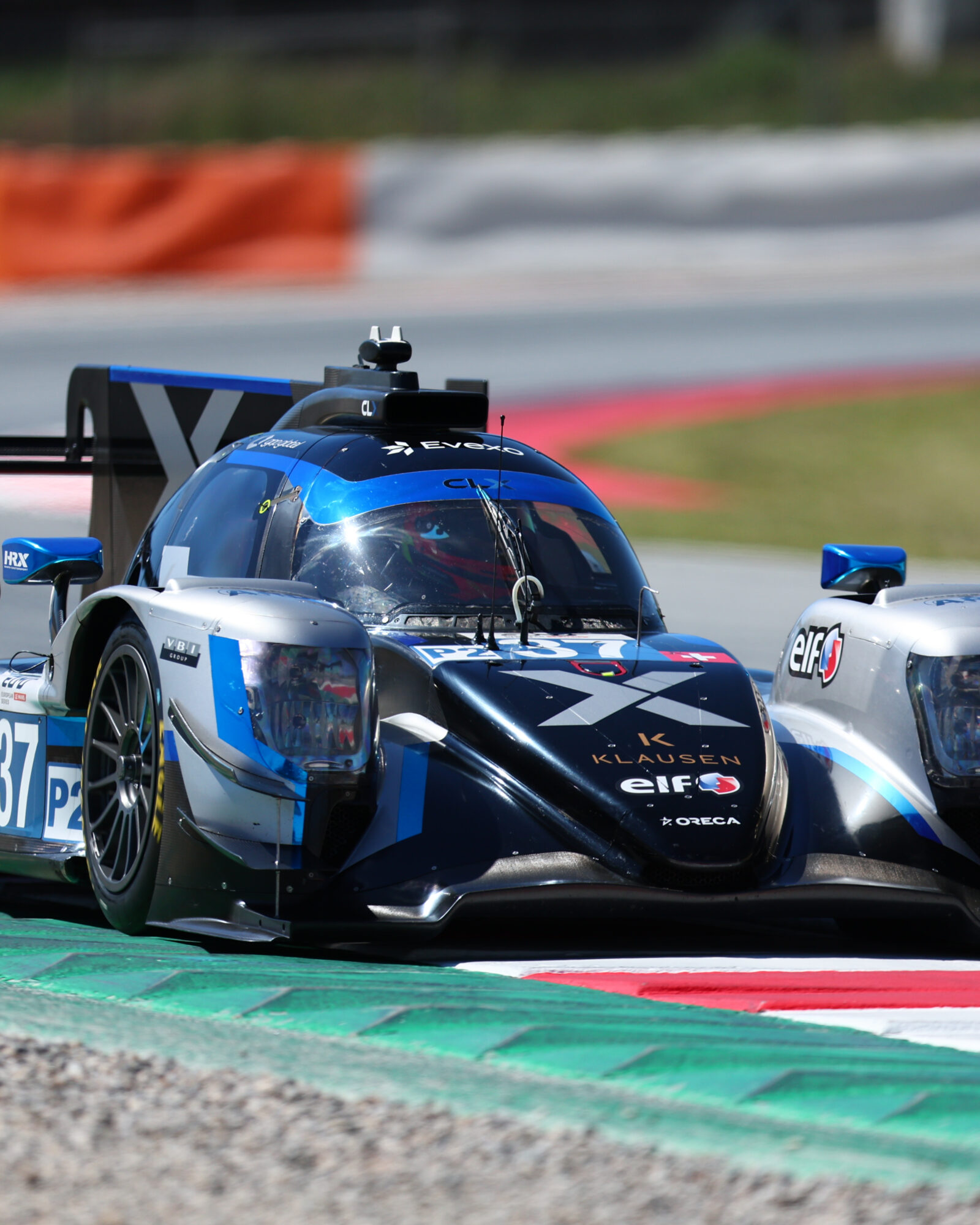 Tracey Allan-McWilliams