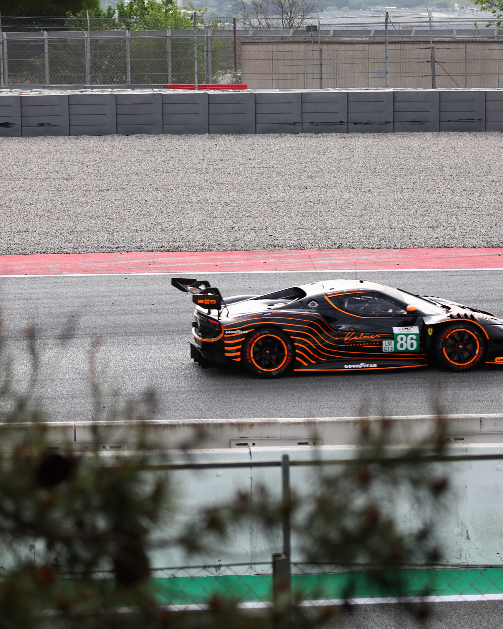 © 2026 Tracey Allan-McWilliams