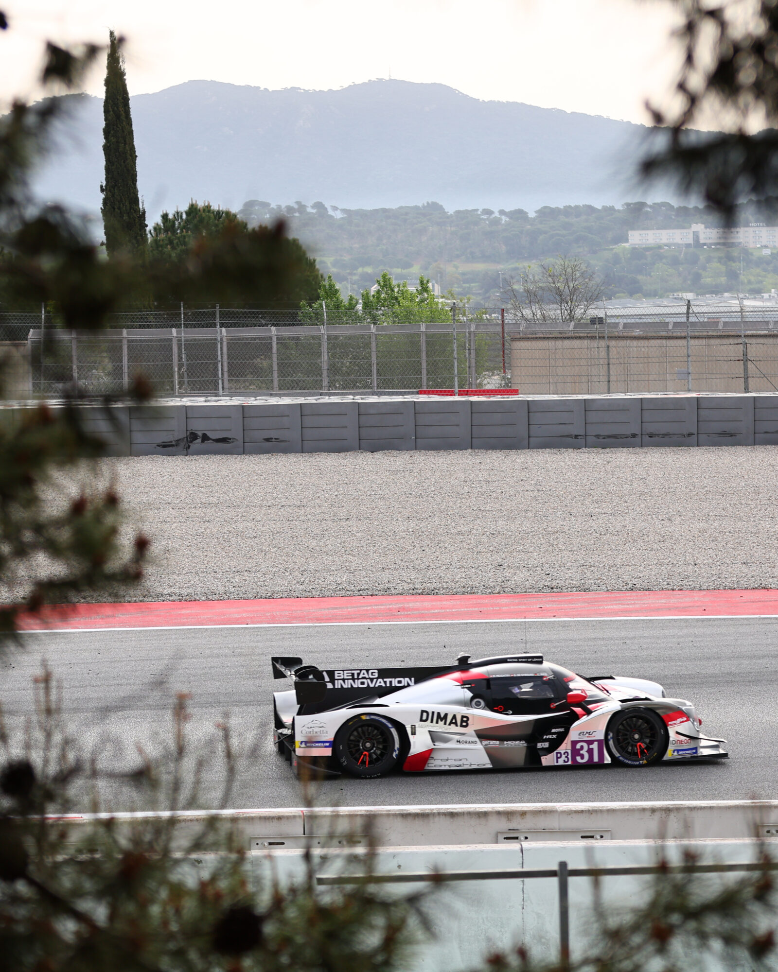 © 2026 Tracey Allan-McWilliams