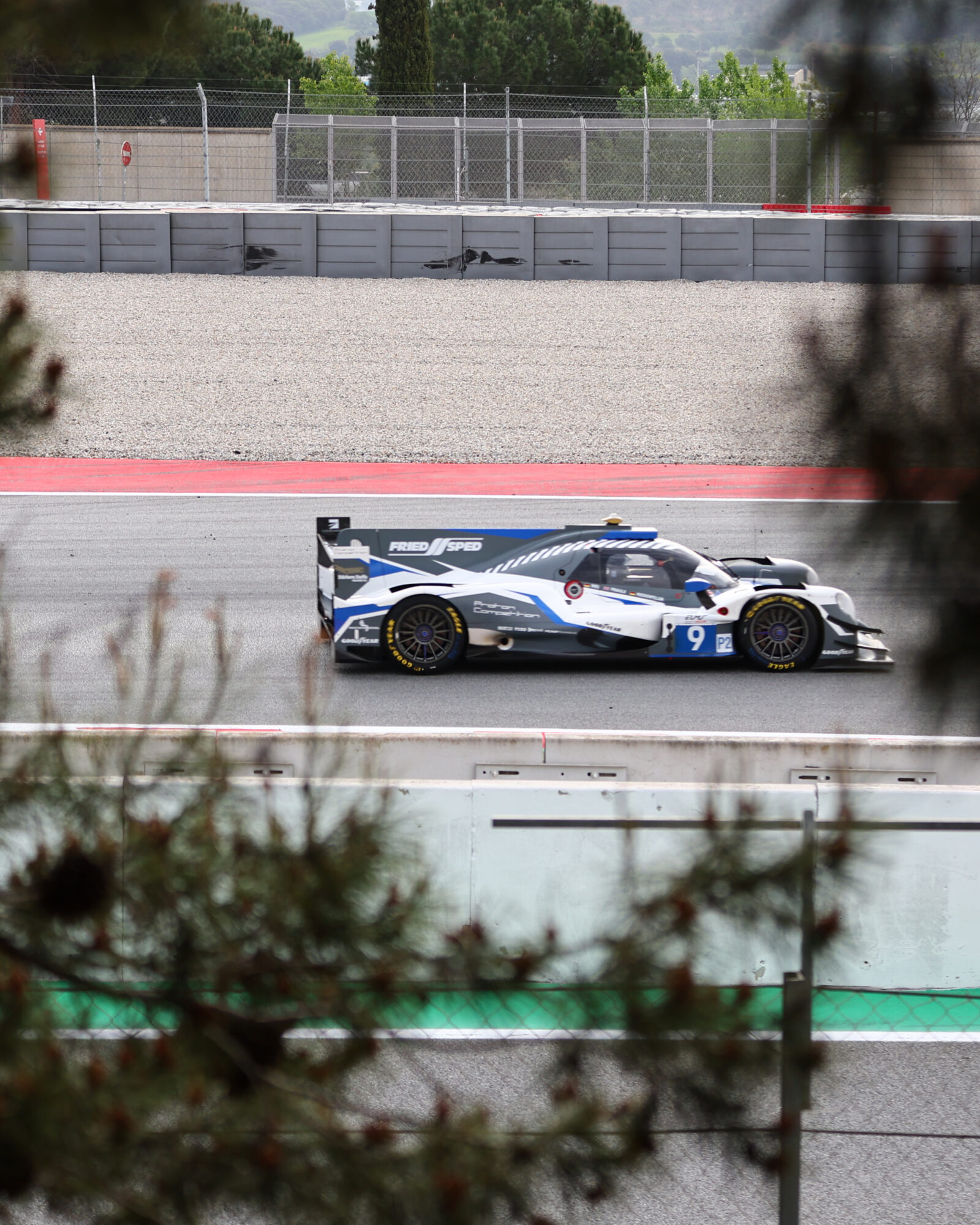 © 2026 Tracey Allan-McWilliams