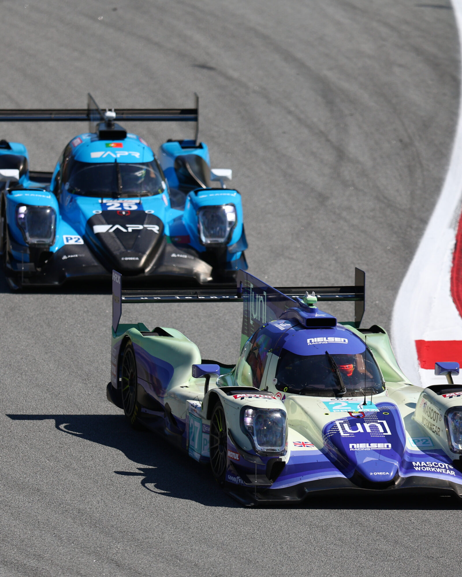 Tracey Allan-McWilliams