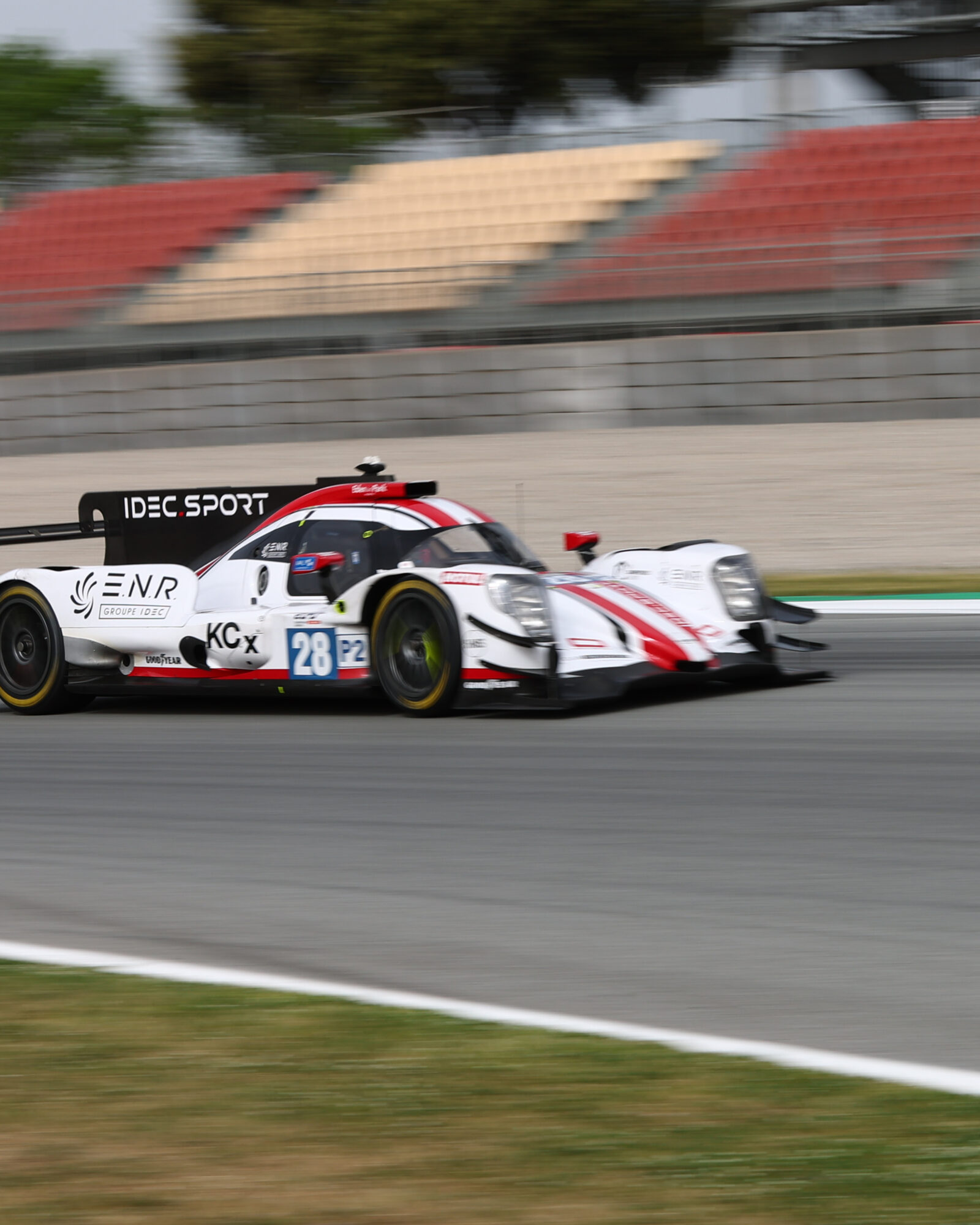 © 2026 Tracey Allan-McWilliams