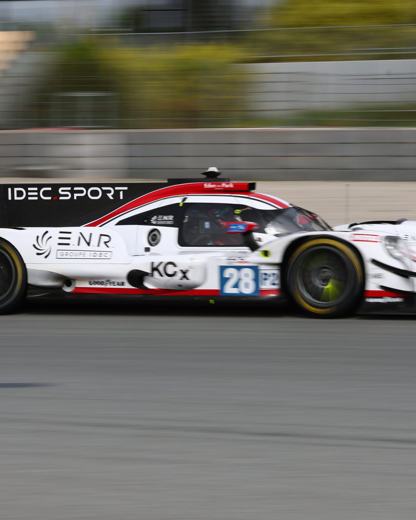 © 2026 Tracey Allan-McWilliams