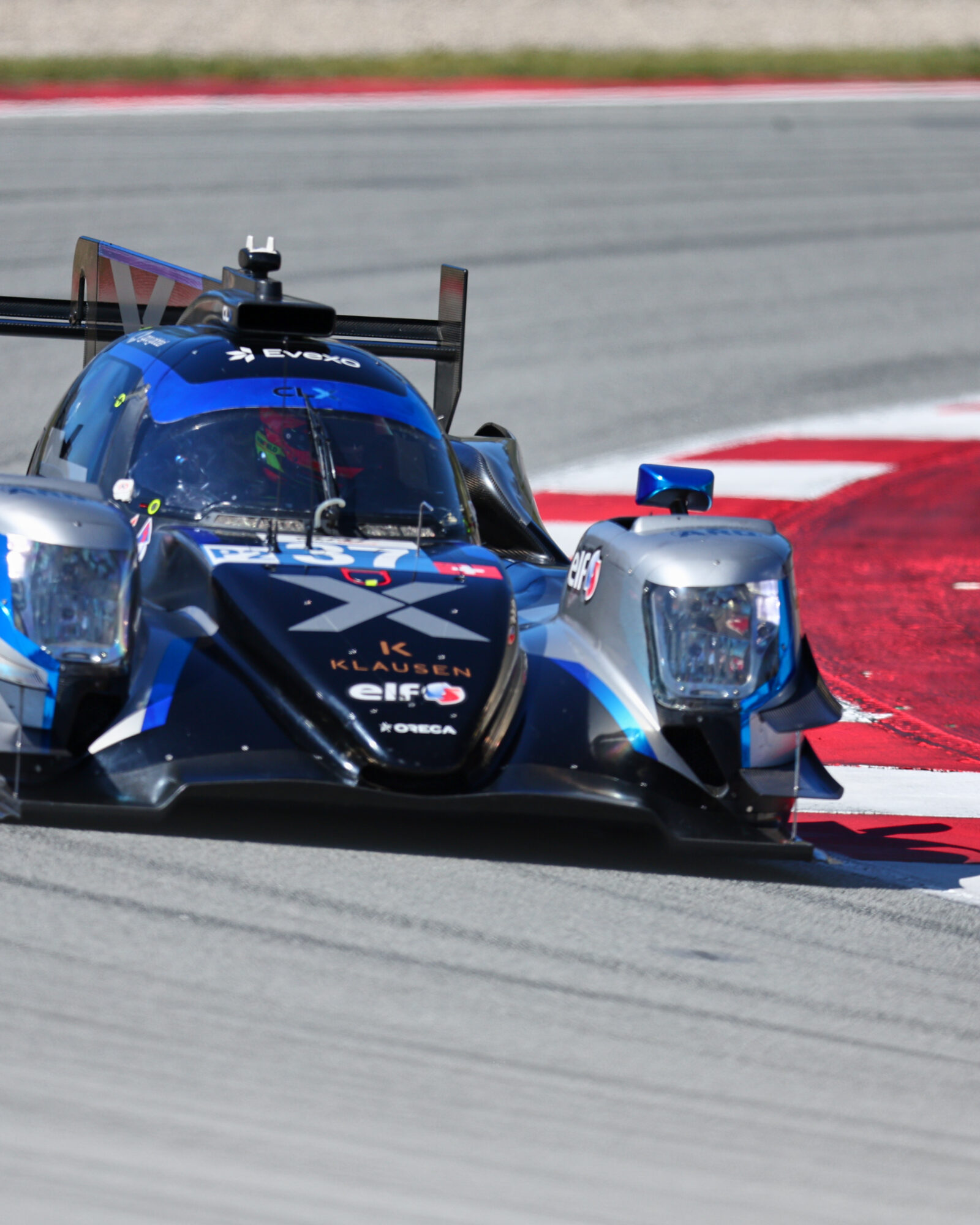 Tracey Allan-McWilliams