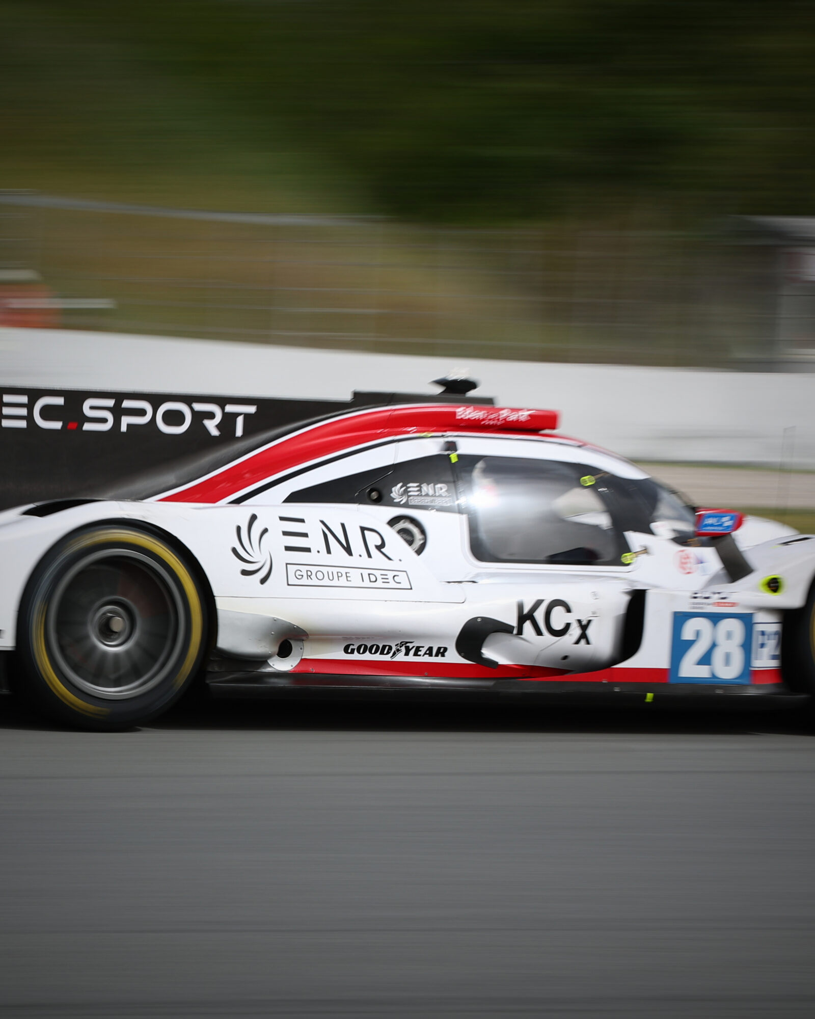 © 2026 Tracey Allan-McWilliams