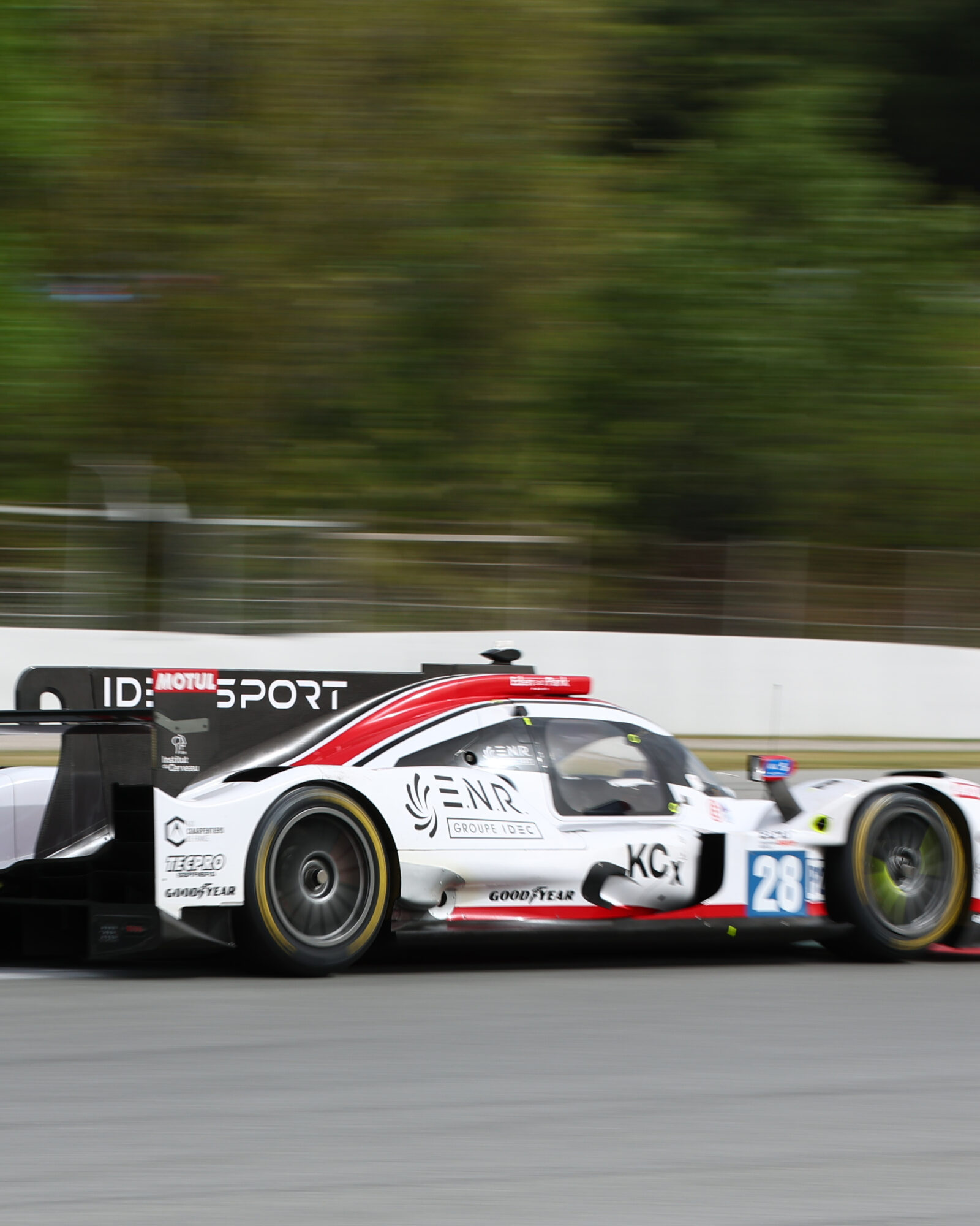 © 2026 Tracey Allan-McWilliams