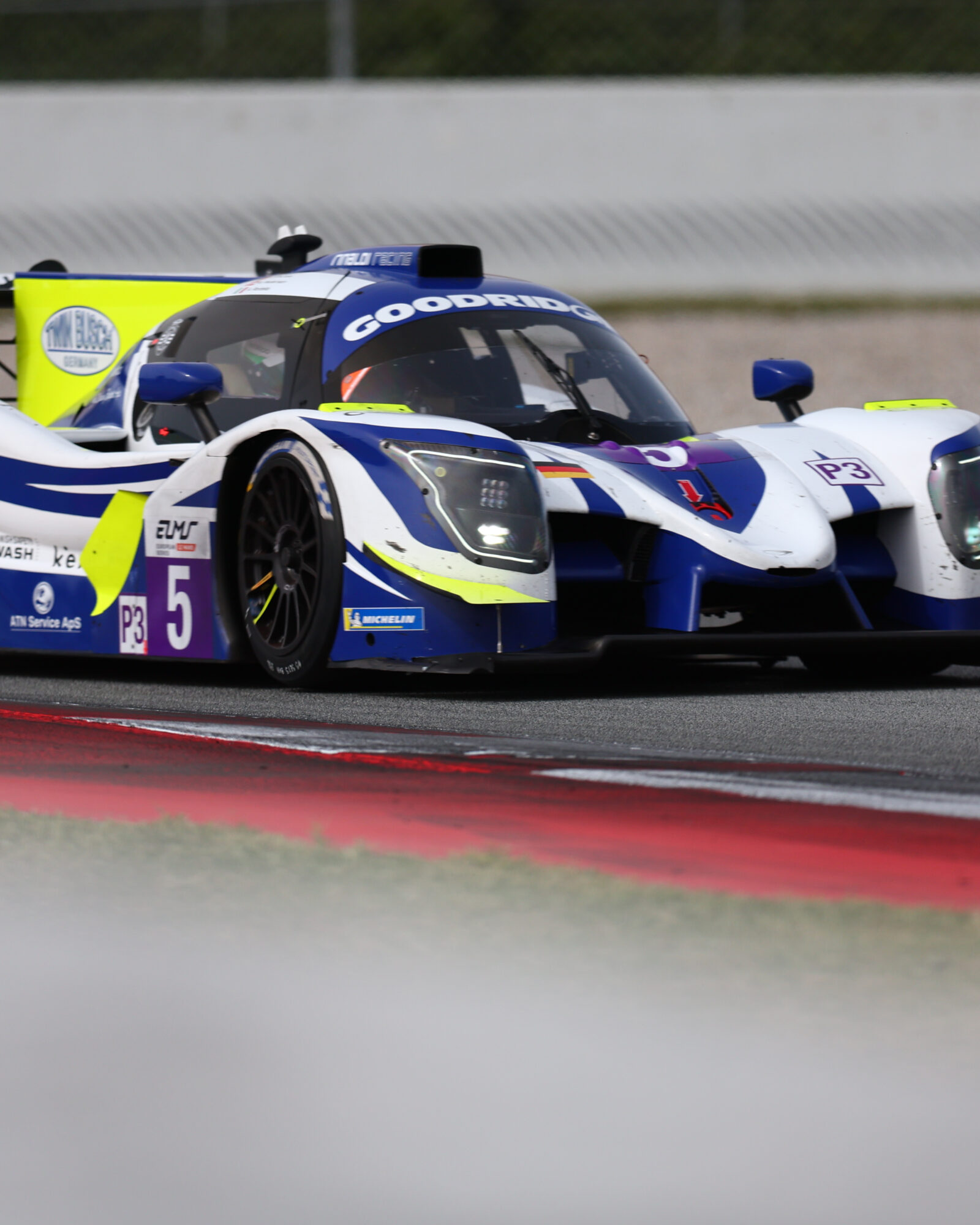 © 2026 Tracey Allan-McWilliams