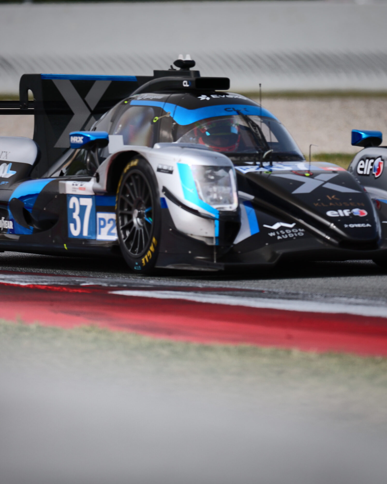 © 2026 Tracey Allan-McWilliams