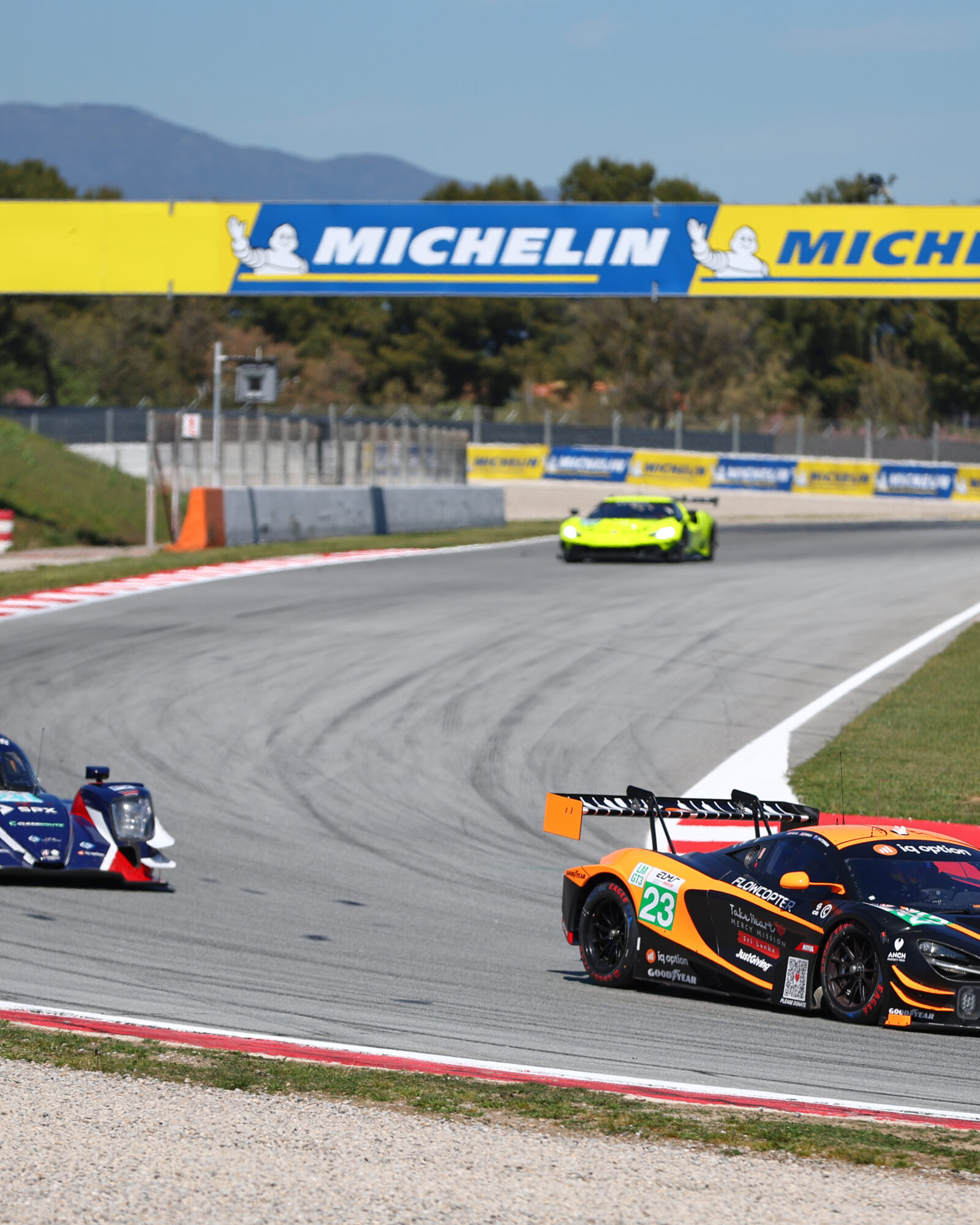 Tracey Allan-McWilliams