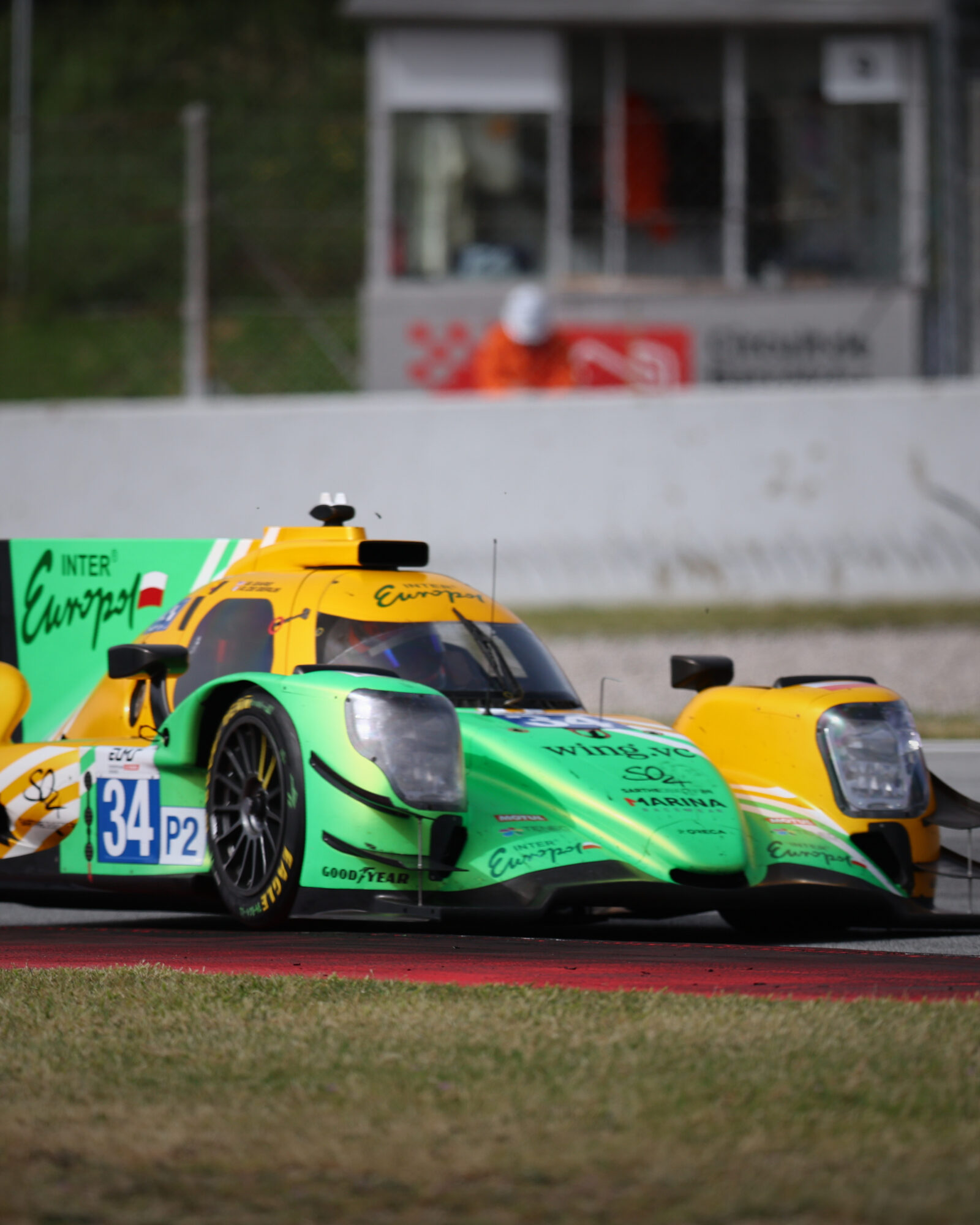 © 2026 Tracey Allan-McWilliams