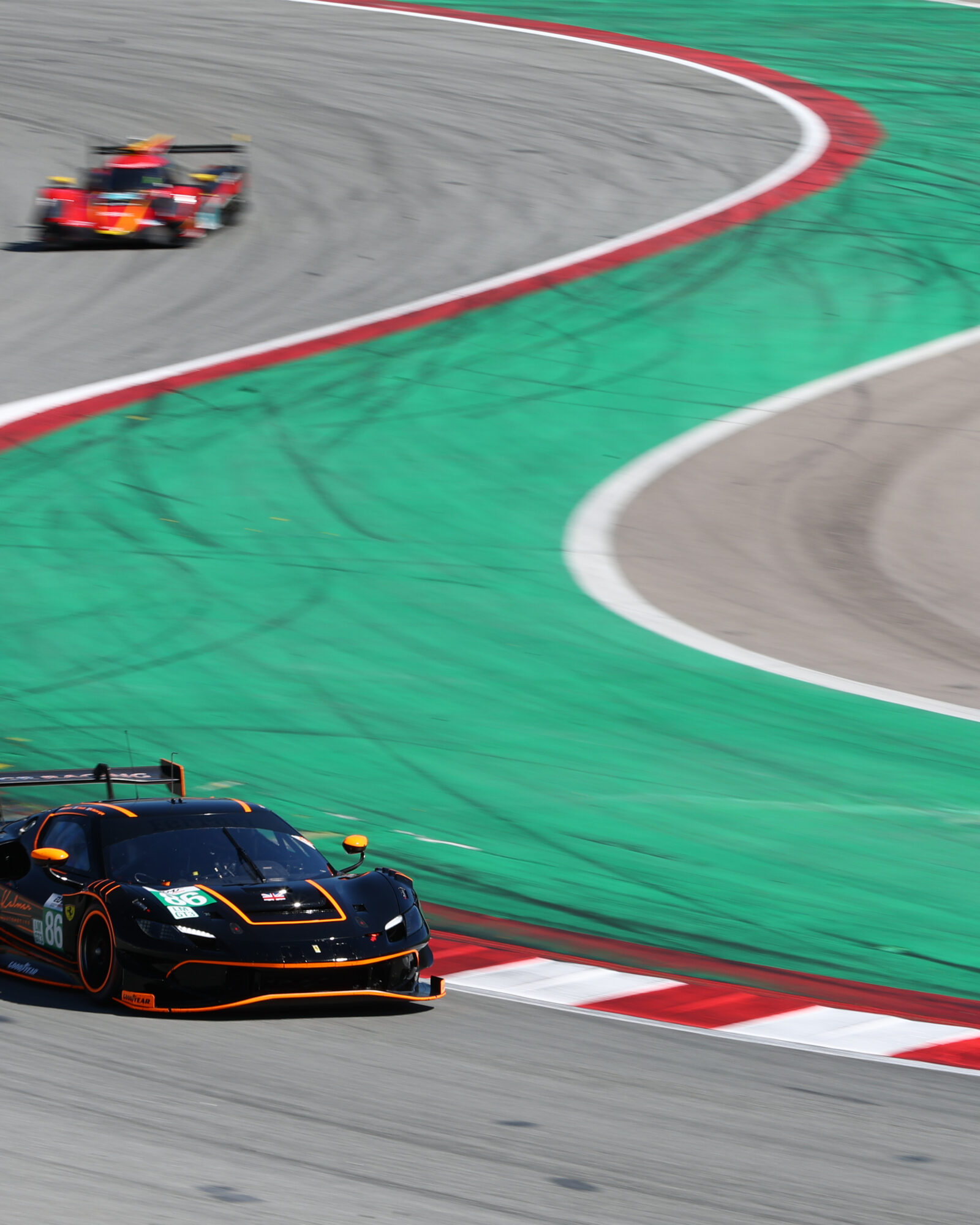 Tracey Allan-McWilliams