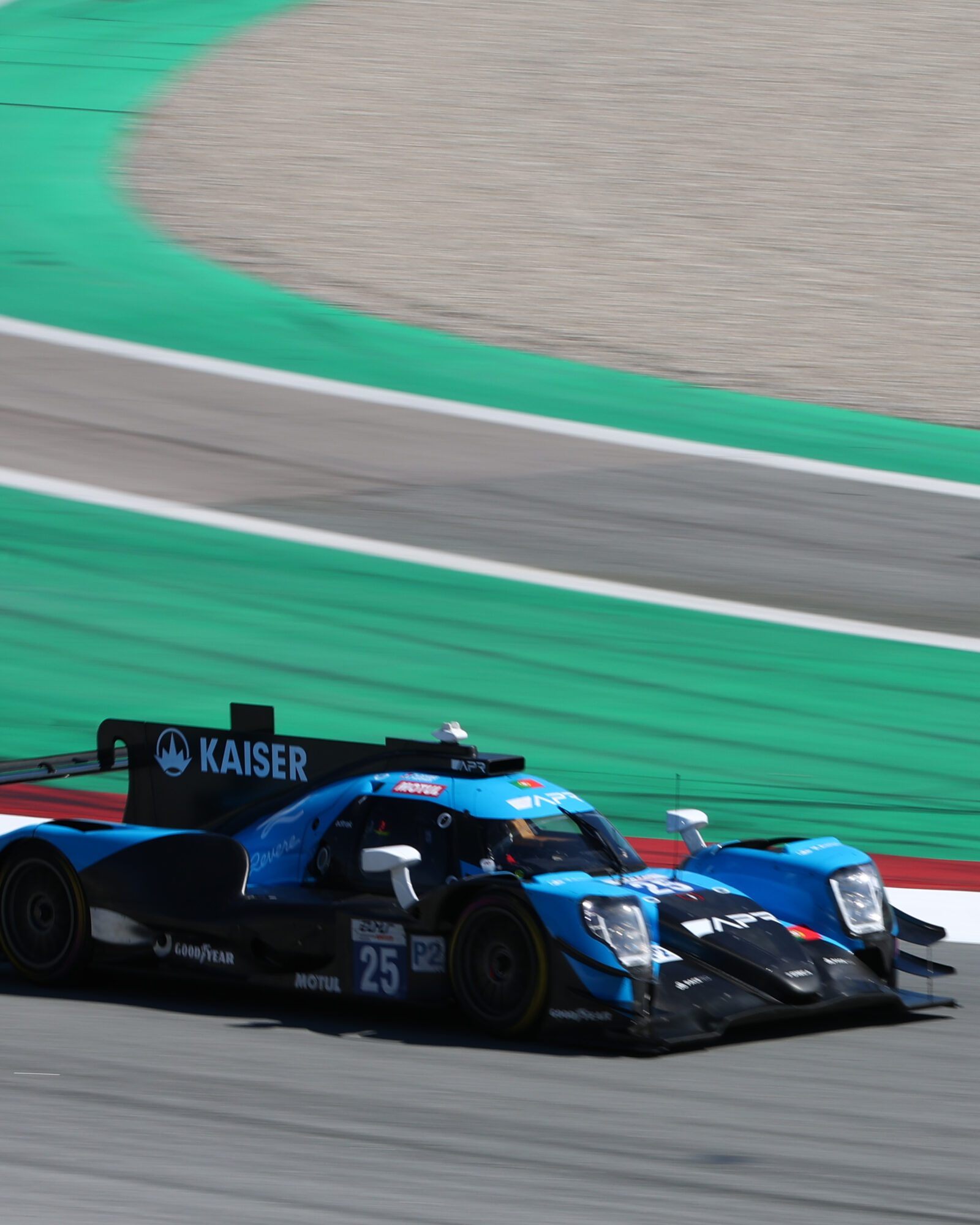 Tracey Allan-McWilliams