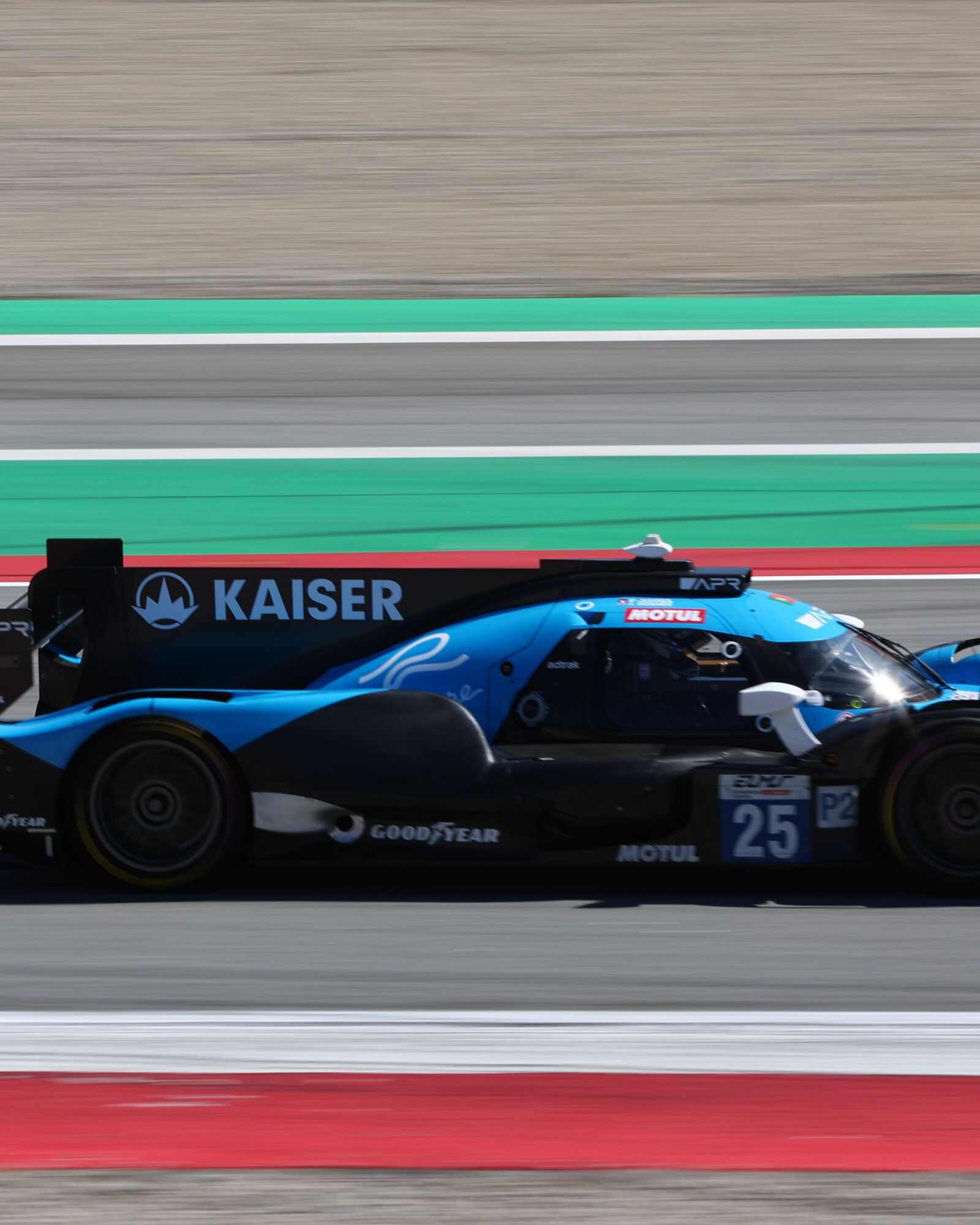 Tracey Allan-McWilliams