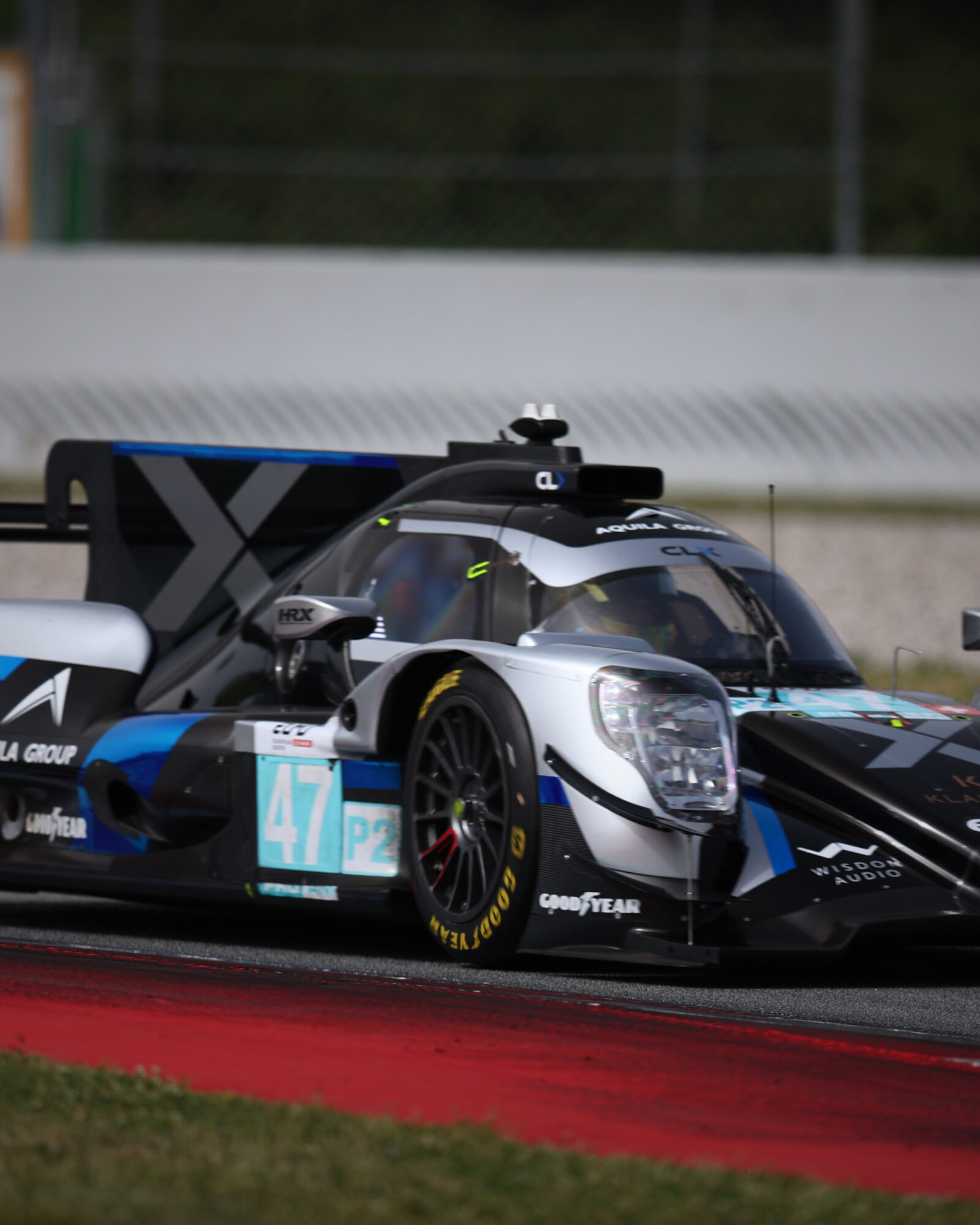 © 2026 Tracey Allan-McWilliams