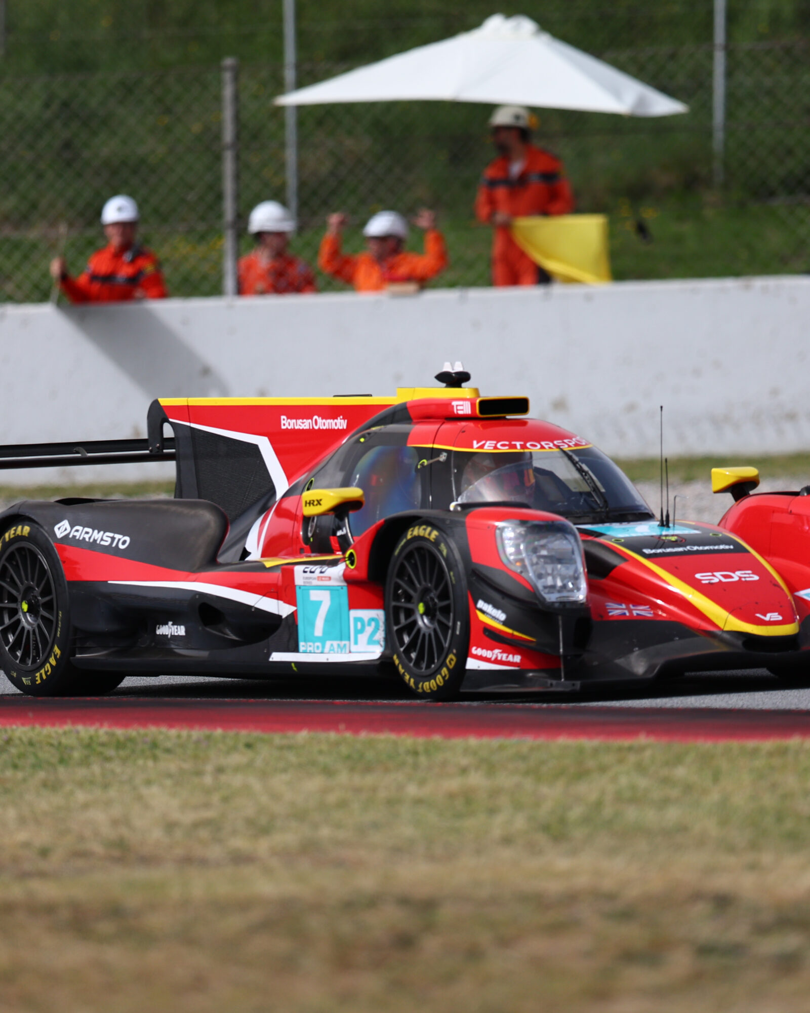 © 2026 Tracey Allan-McWilliams