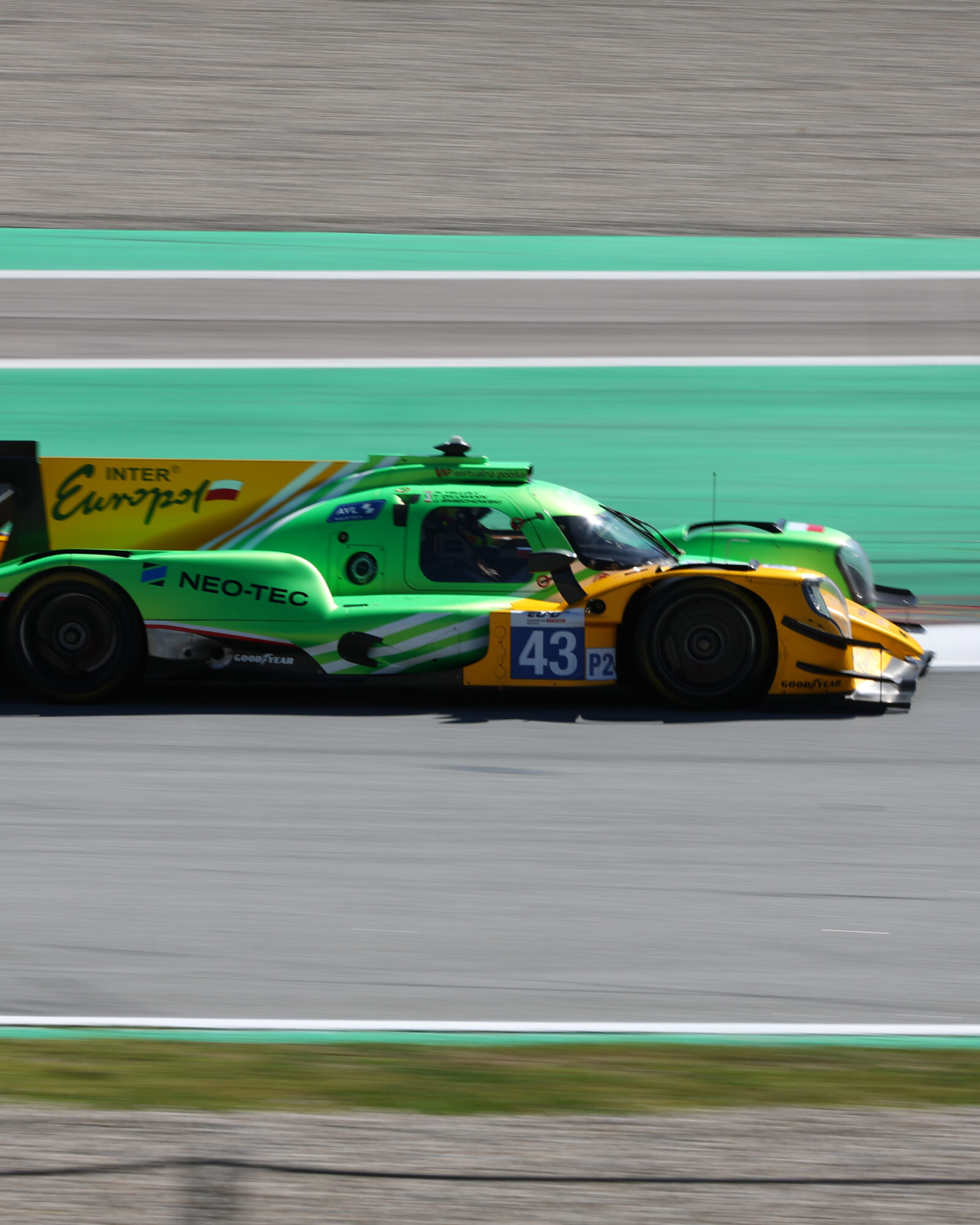 Tracey Allan-McWilliams