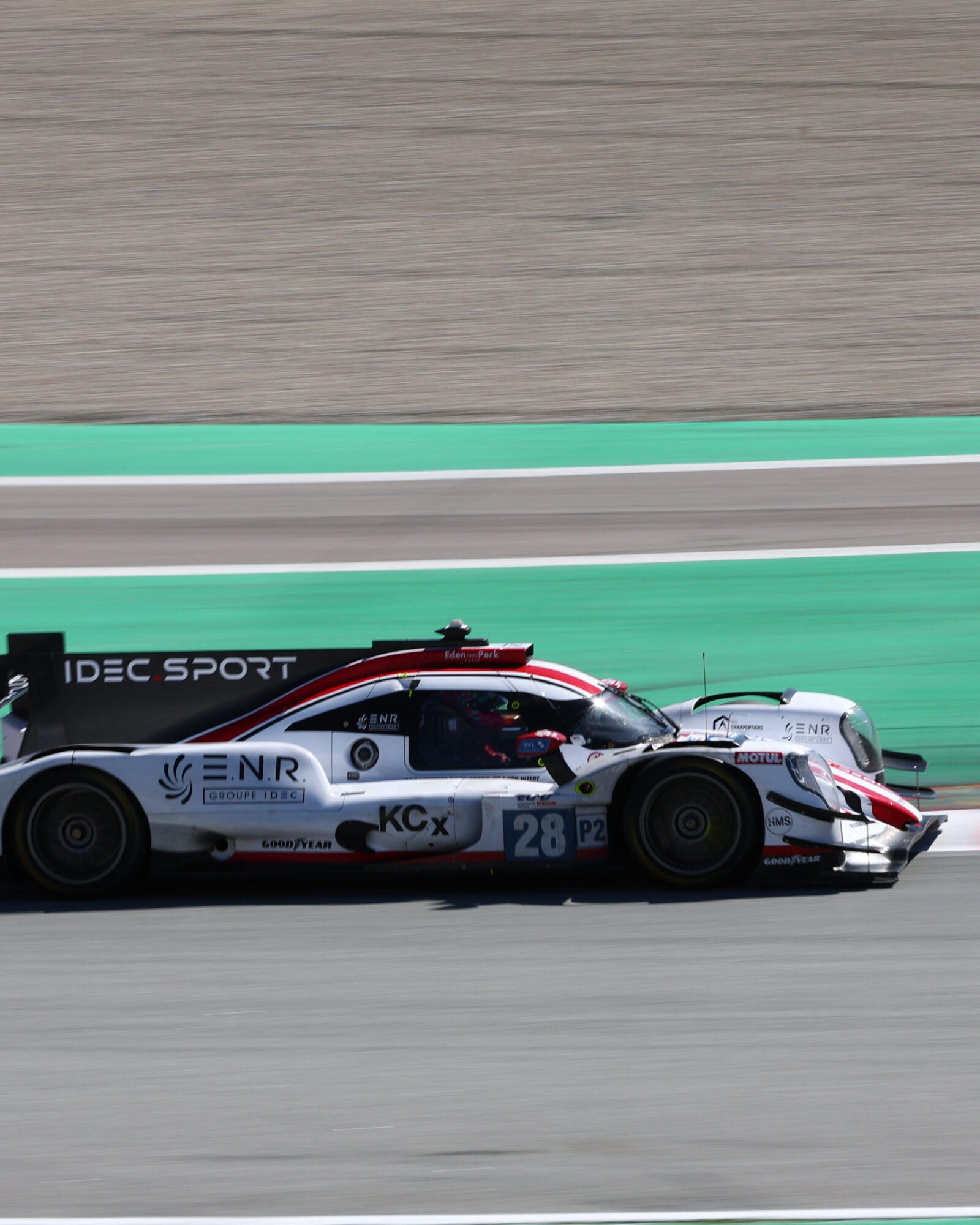 Tracey Allan-McWilliams