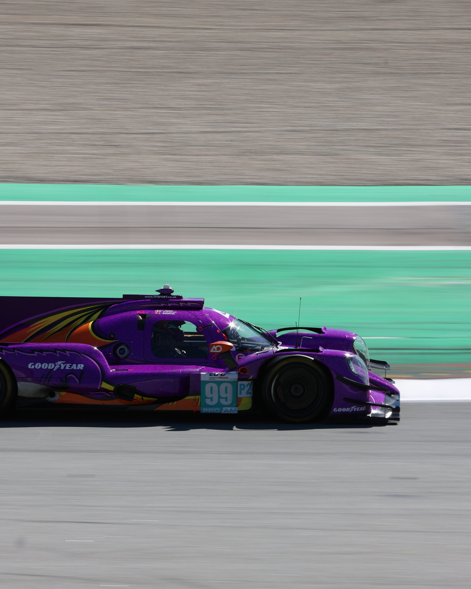 Tracey Allan-McWilliams