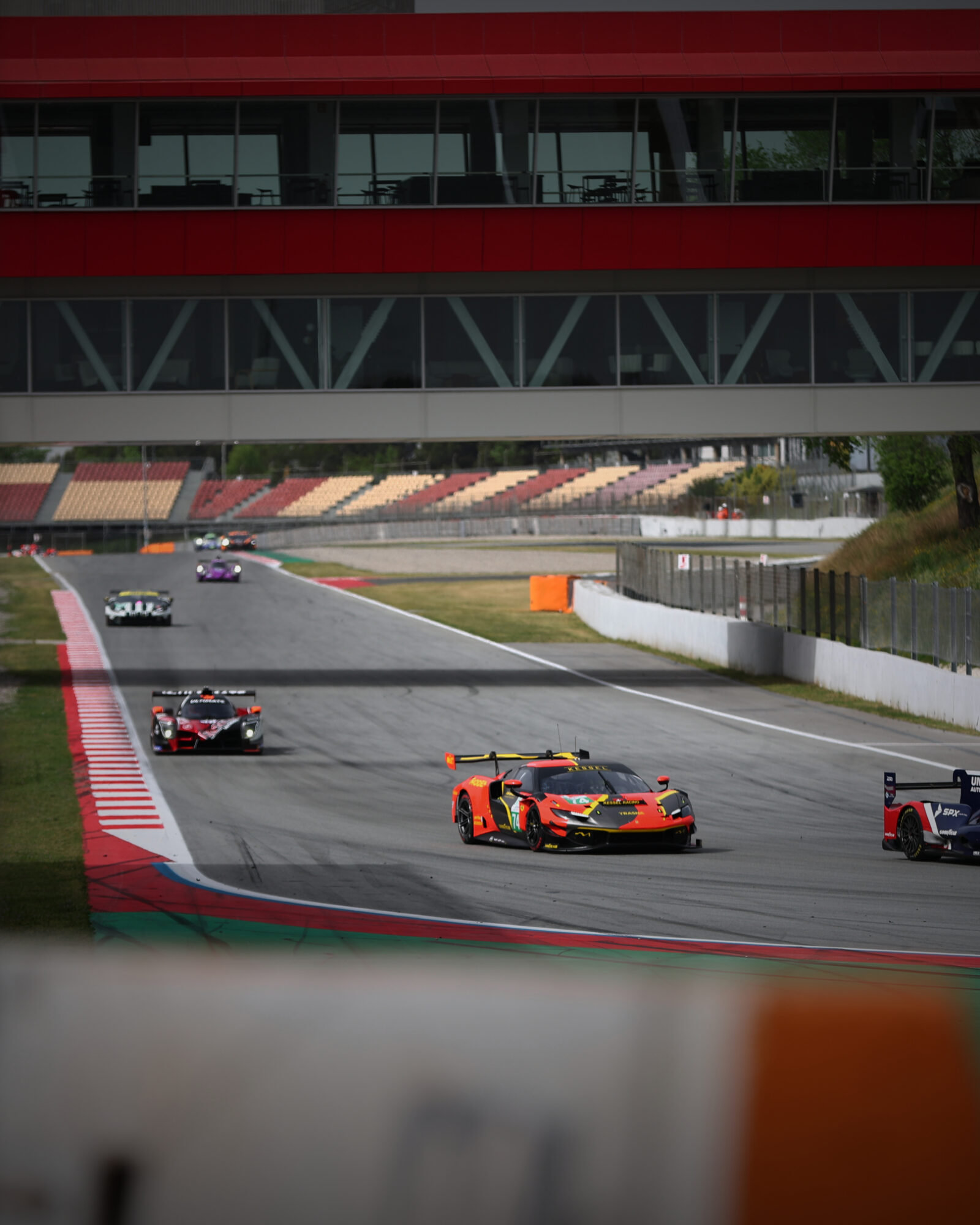 © 2026 Tracey Allan-McWilliams