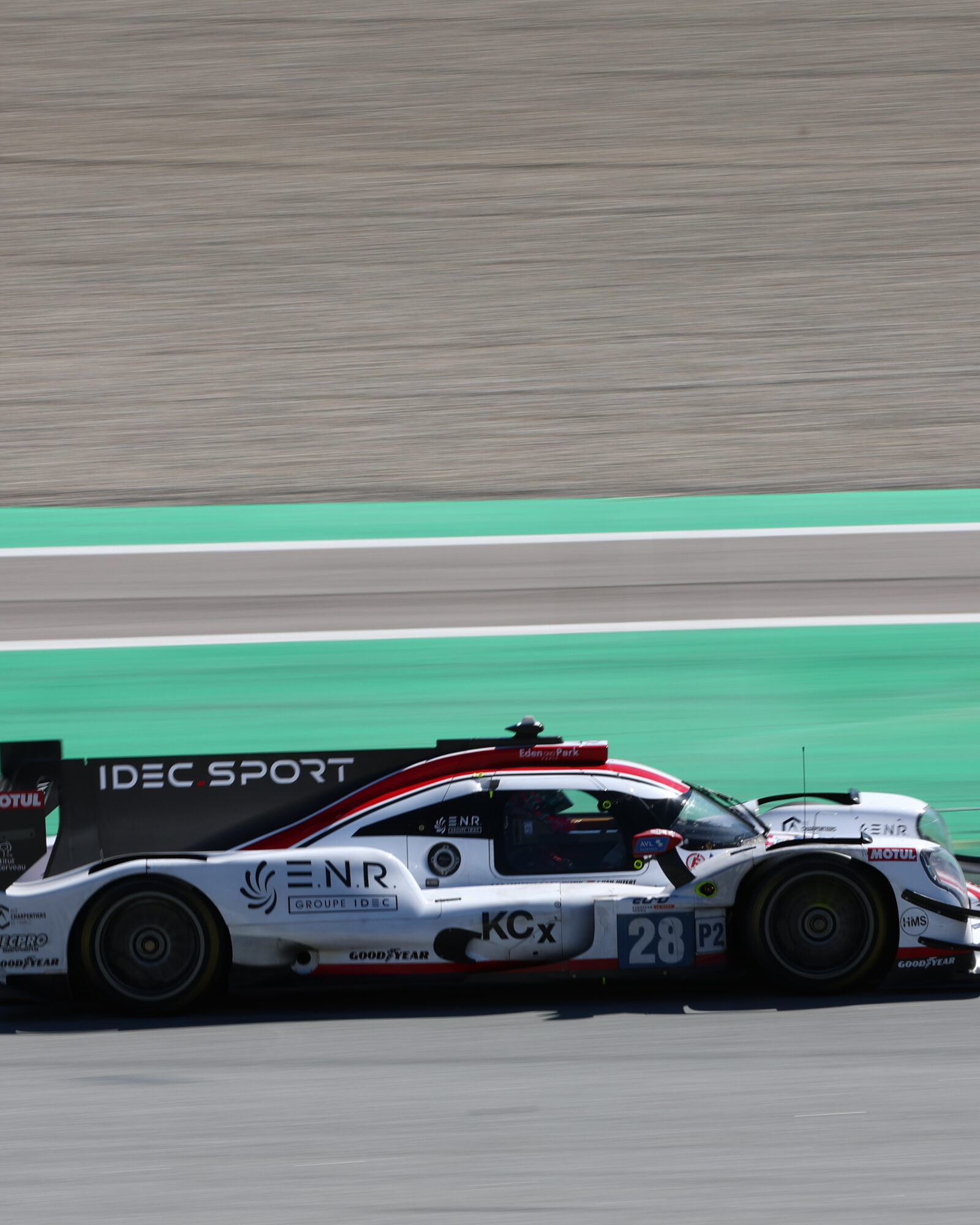 Tracey Allan-McWilliams