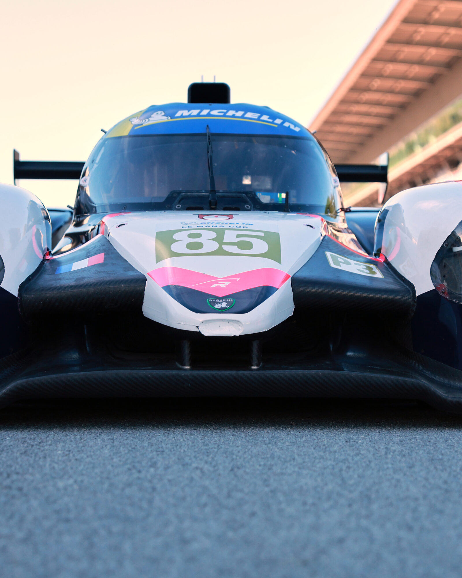 Tracey Allan-McWilliams