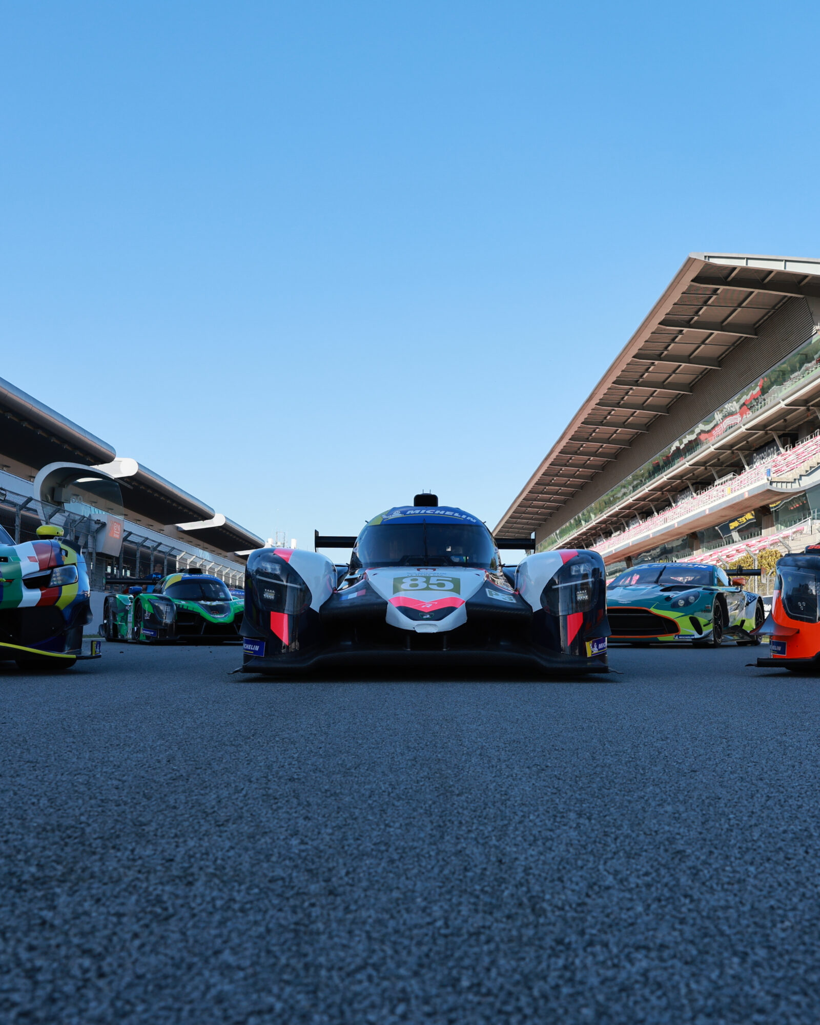 Tracey Allan-McWilliams