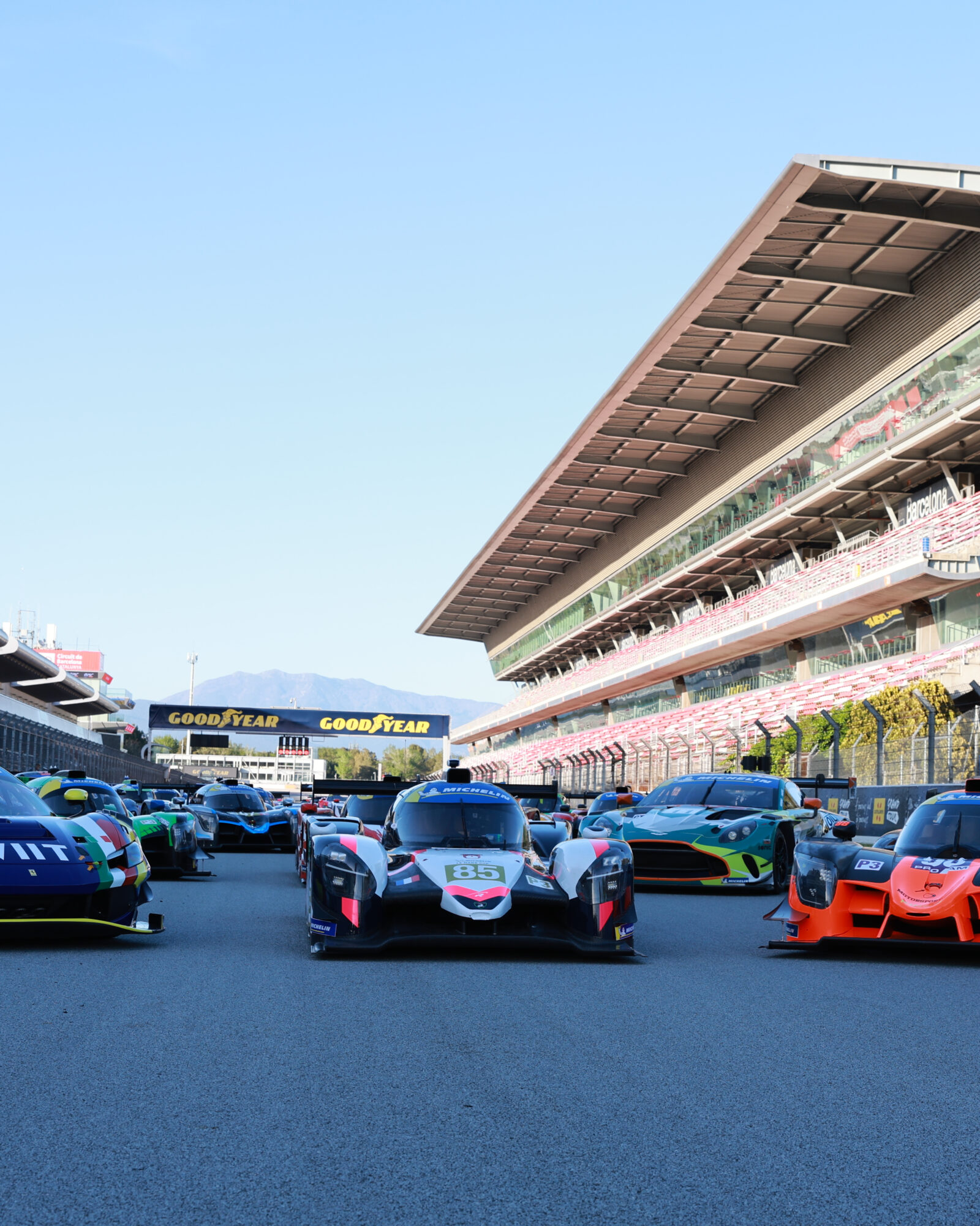 Tracey Allan-McWilliams