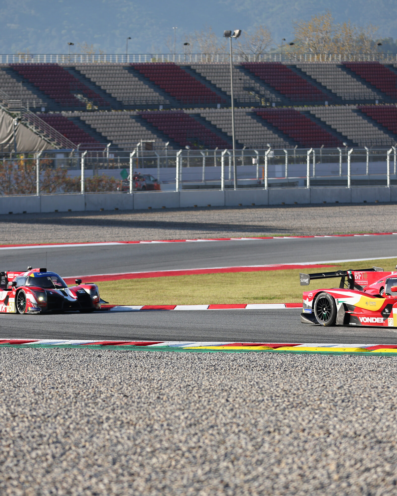 Tracey Allan-McWilliams