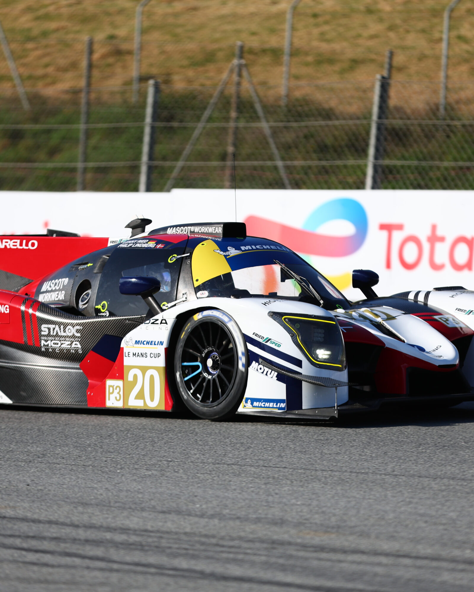 Tracey Allan-McWilliams