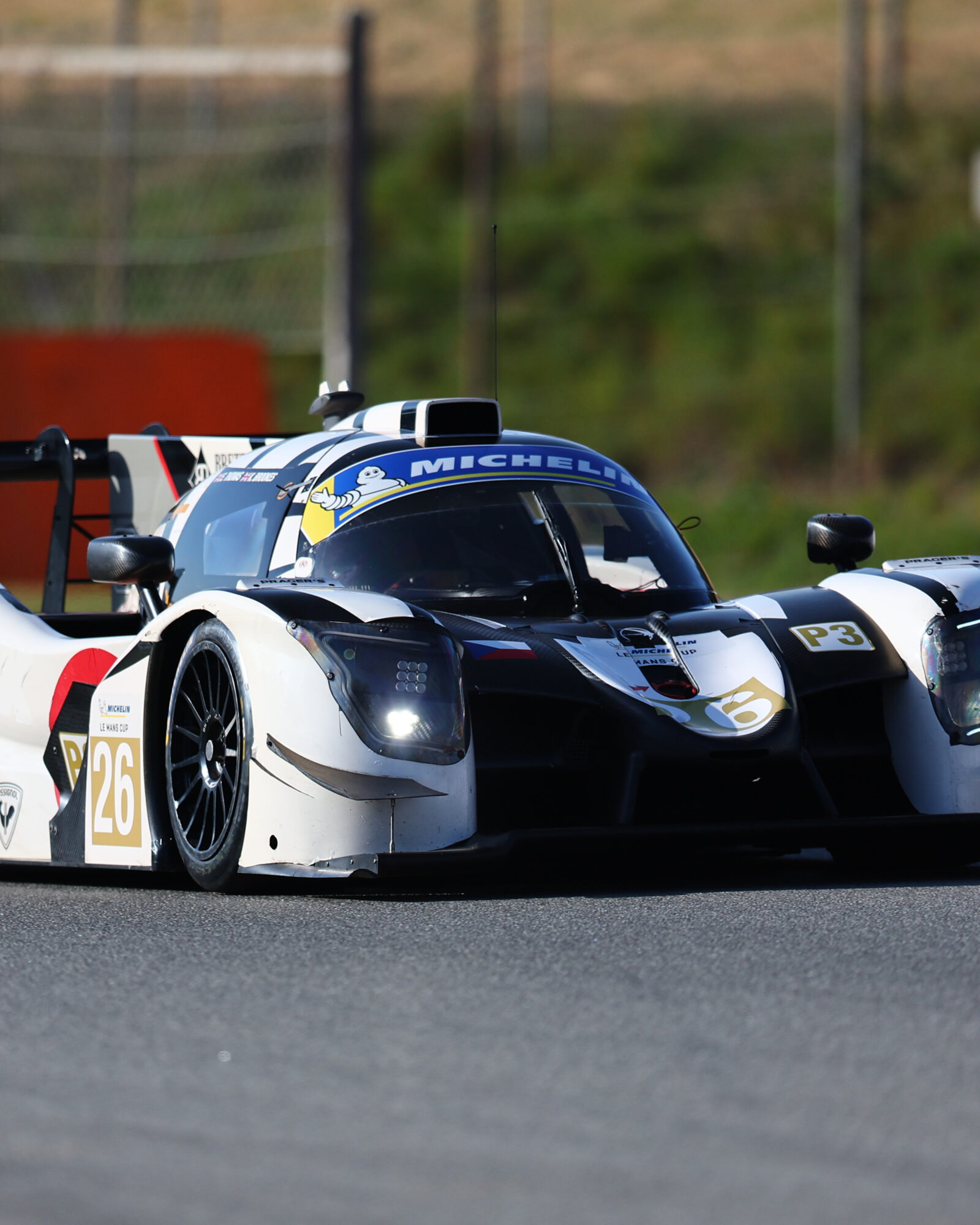 Tracey Allan-McWilliams