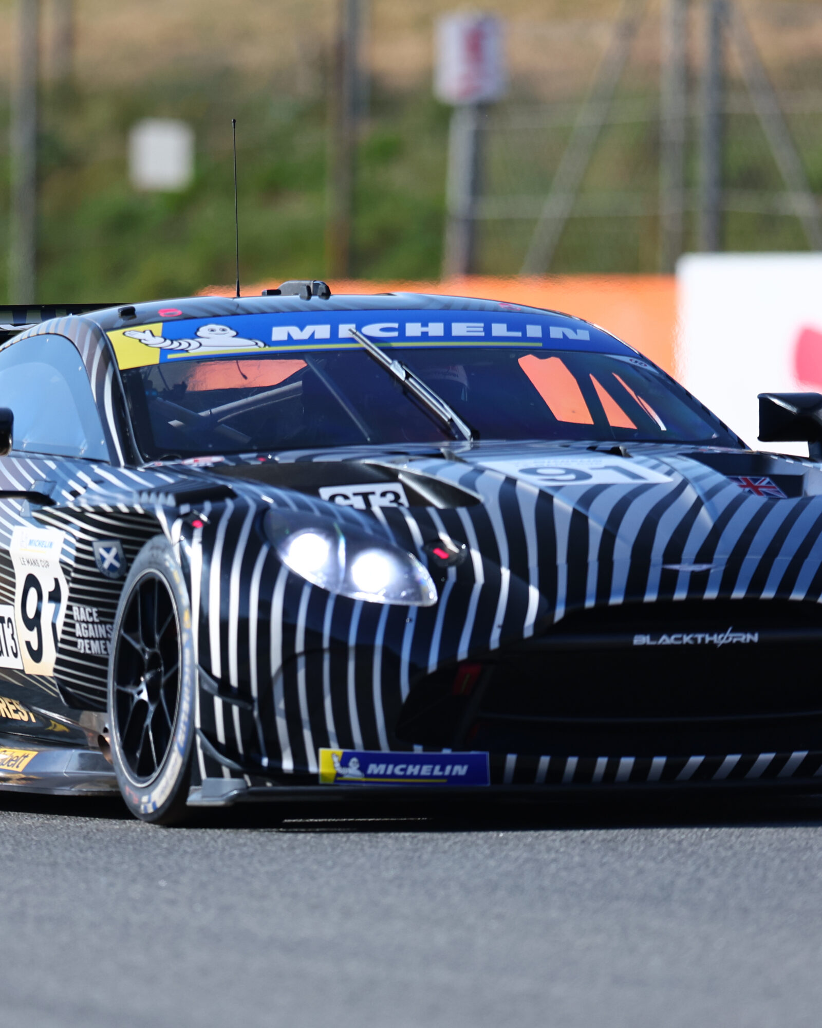 Tracey Allan-McWilliams