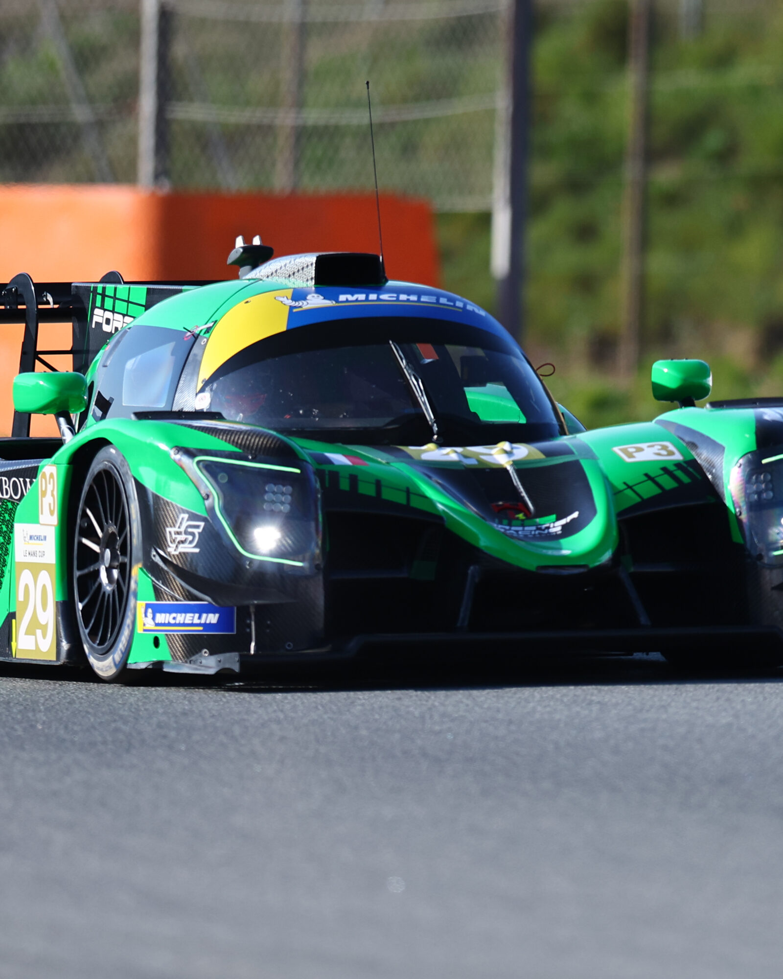 Tracey Allan-McWilliams