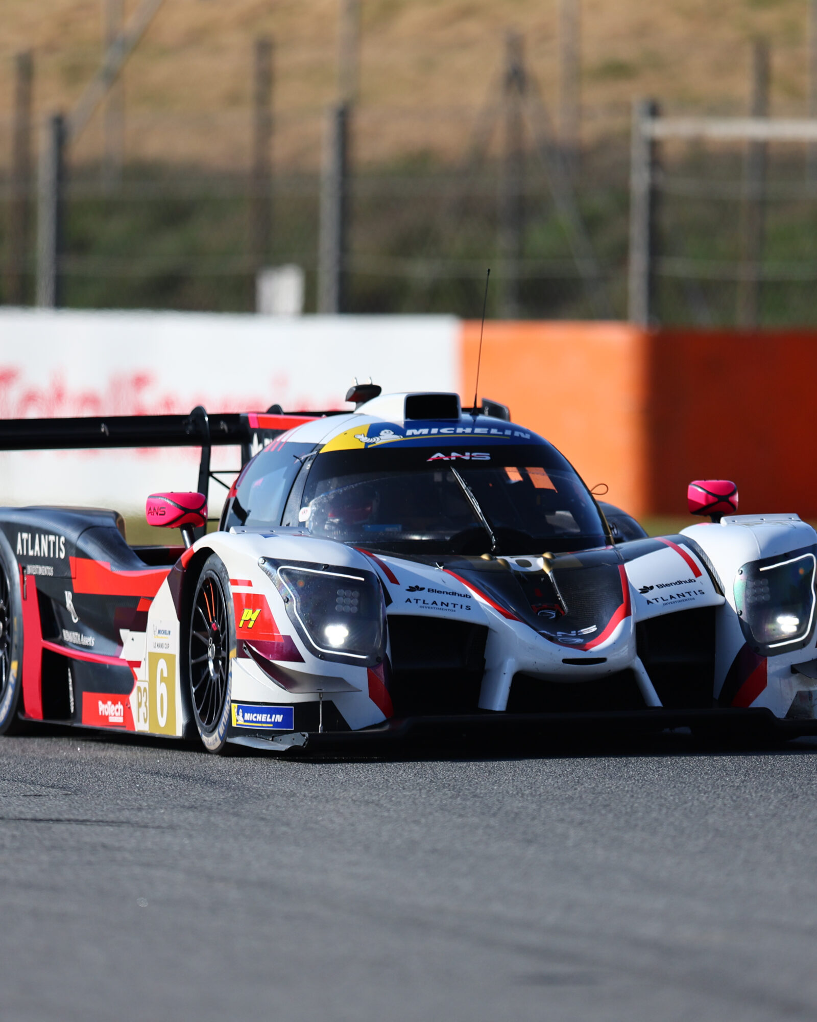 Tracey Allan-McWilliams