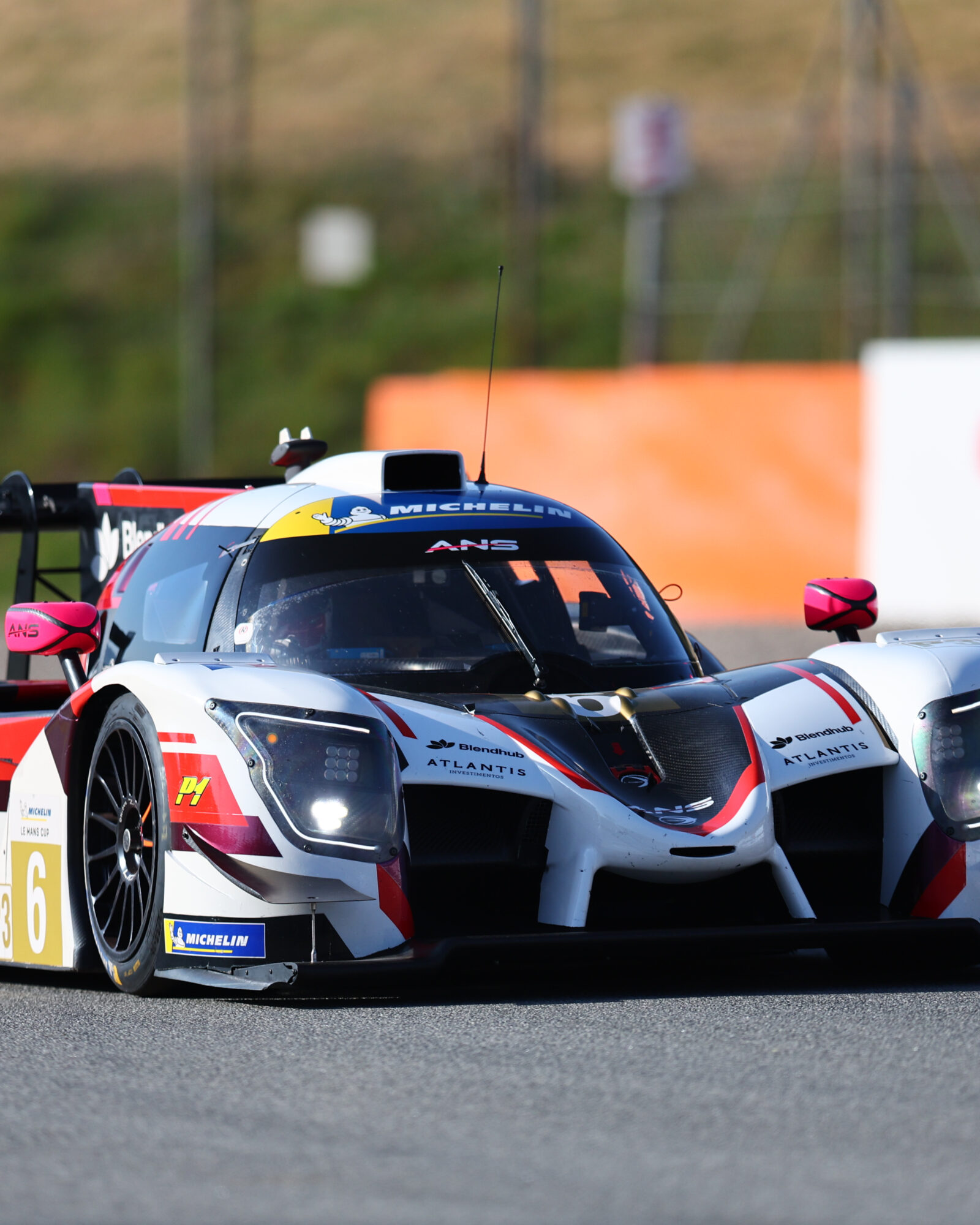 Tracey Allan-McWilliams