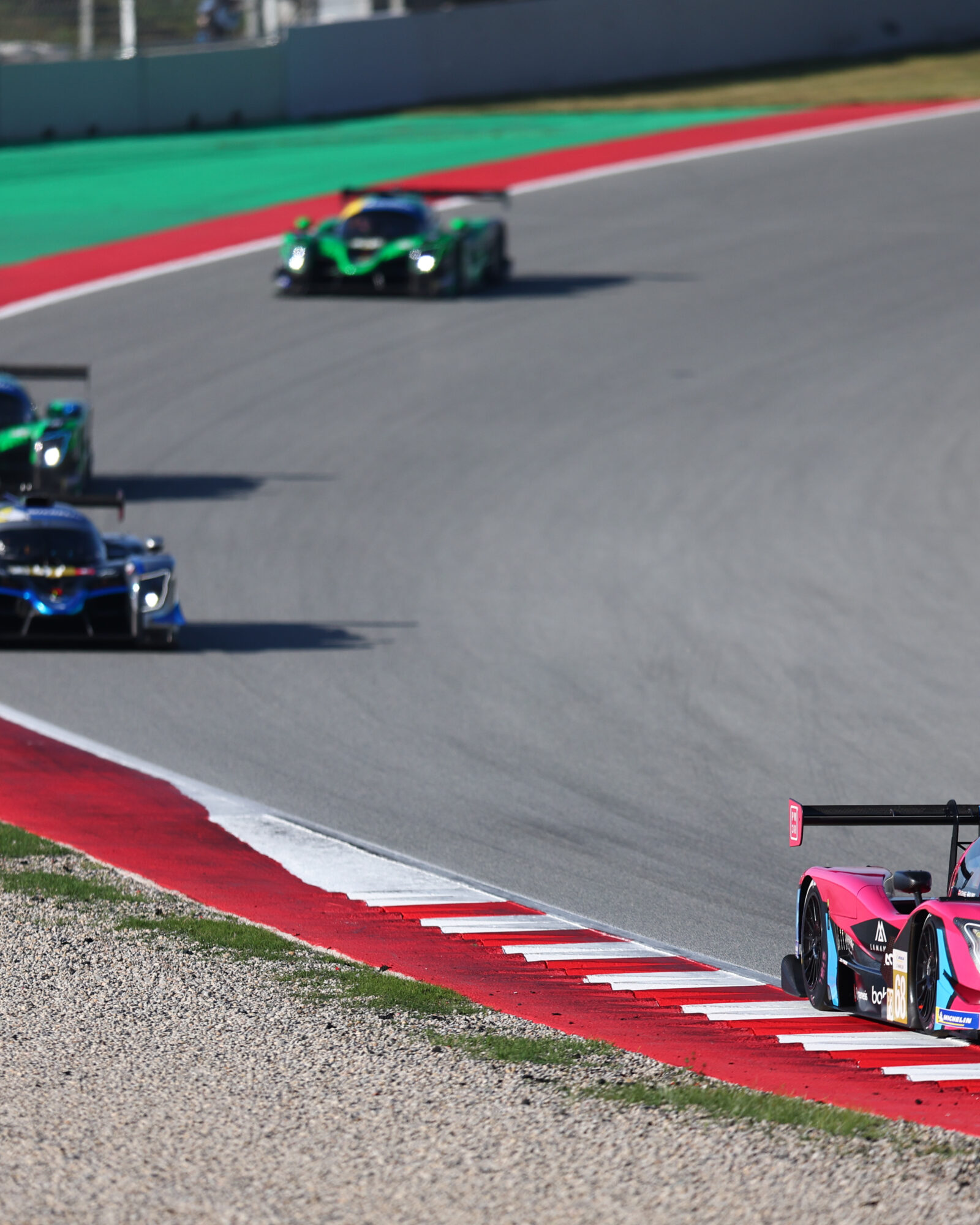 Tracey Allan-McWilliams