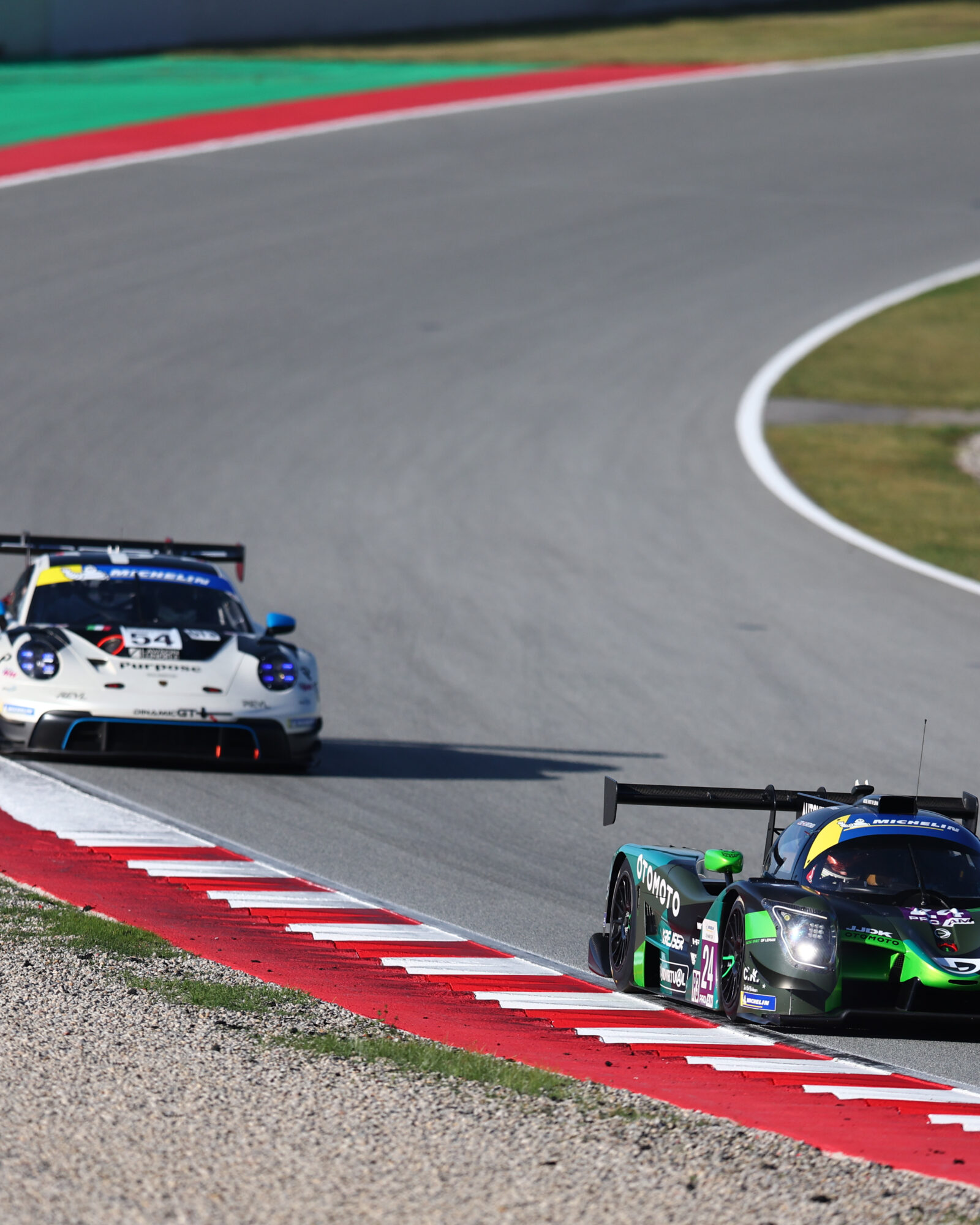 Tracey Allan-McWilliams