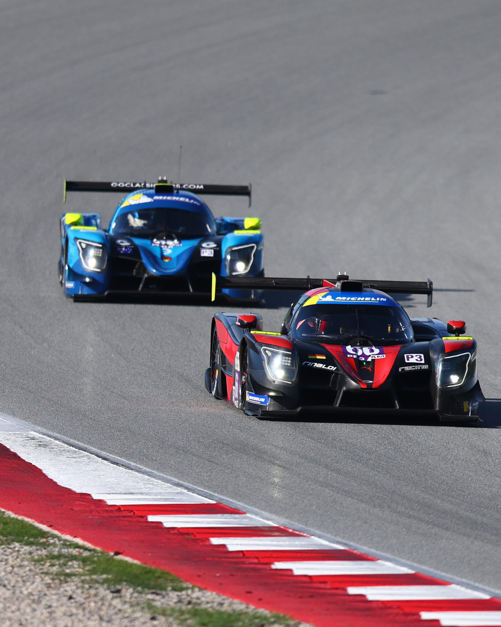 Tracey Allan-McWilliams