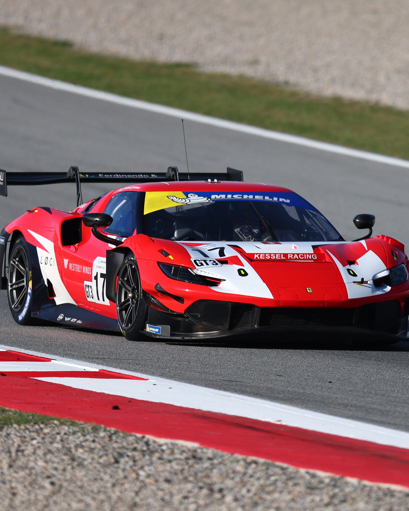 Tracey Allan-McWilliams